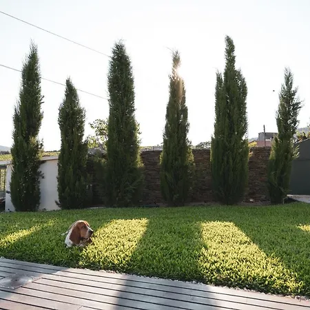 Douro Villa Provesende