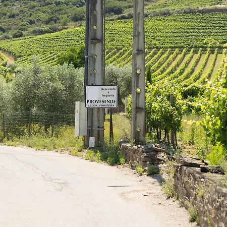 וילה Douro *