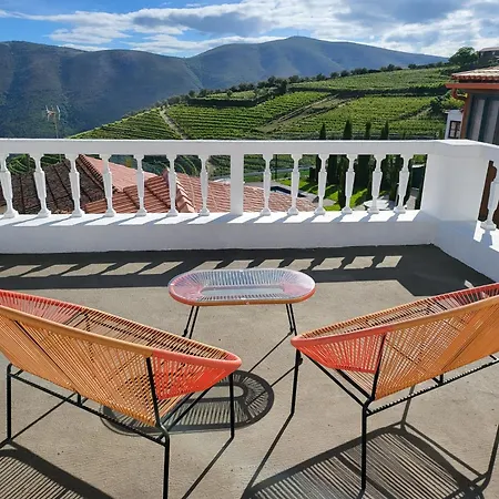 Douro Villa Provesende