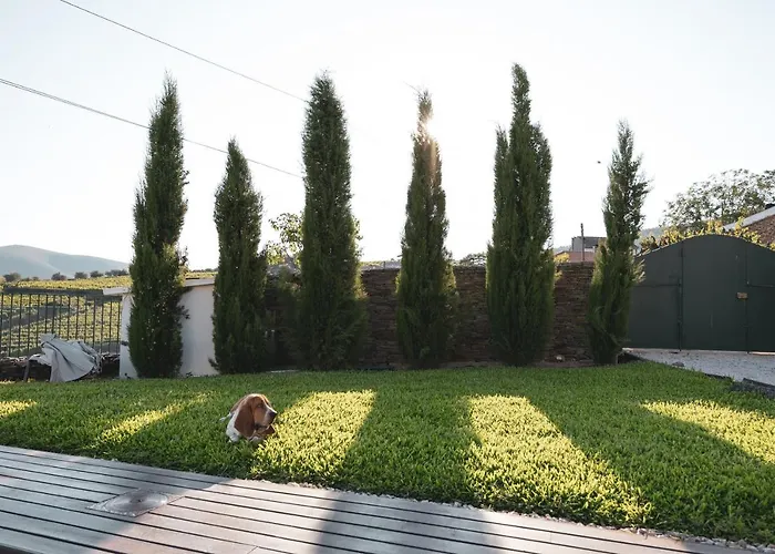 Douro ヴィラ Provesende